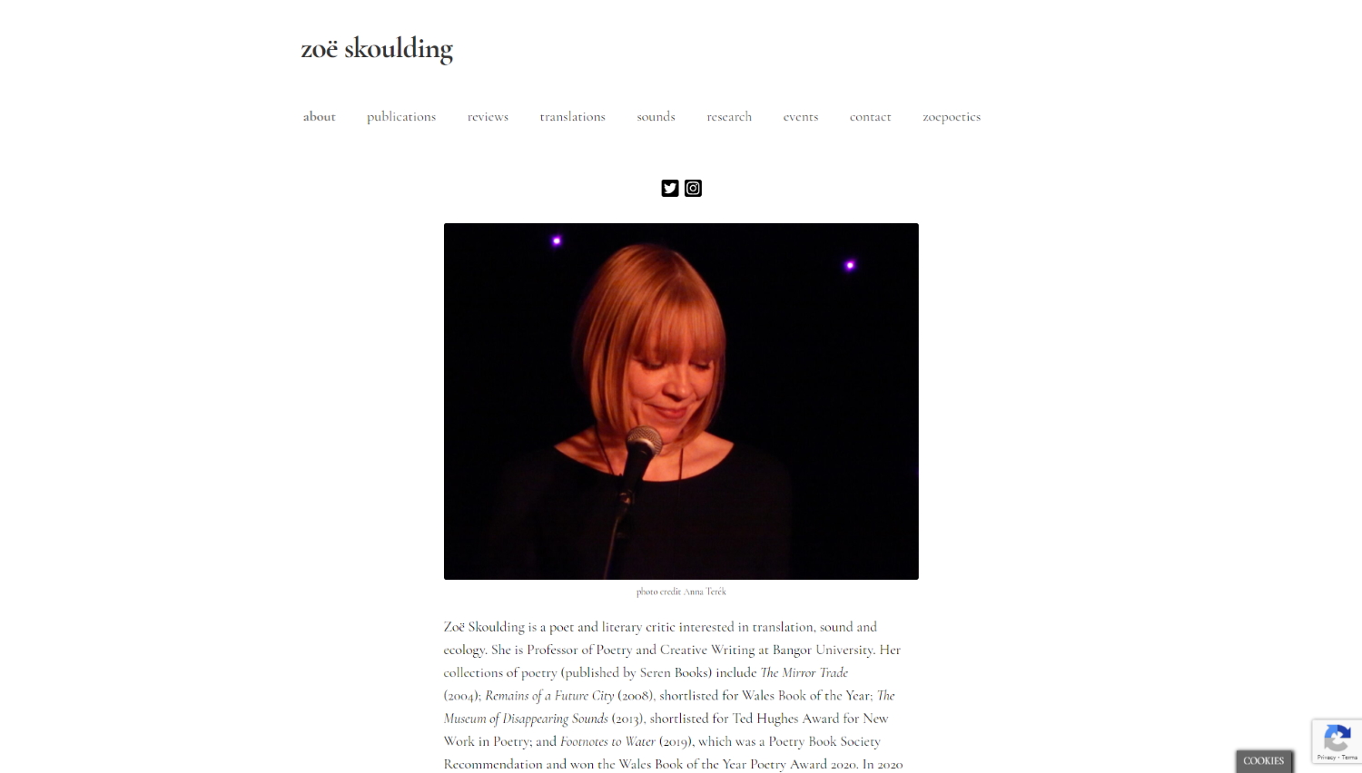 Screen grab of Zoë Skoulding's website