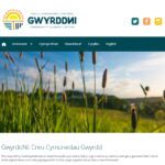 Screen grab of GwyrddNi website