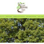 Screen grab of Coed Eryri Trees website