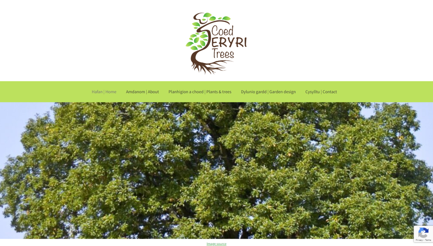 Screen grab of Coed Eryri Trees website